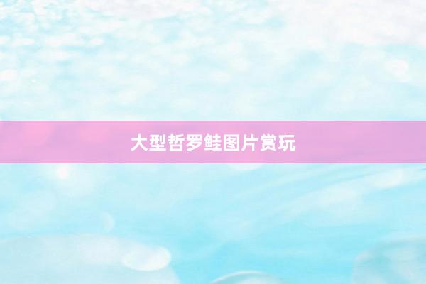 大型哲罗鲑图片赏玩