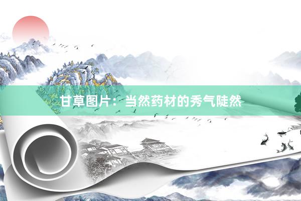 甘草图片：当然药材的秀气陡然