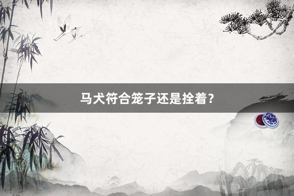 马犬符合笼子还是拴着？